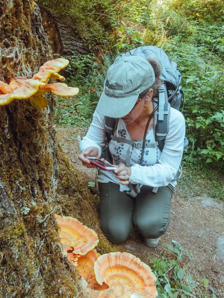 Laura crouches next to a tree stump covered in beautiful yellow-and-orange-patterned, ear-shaped mushrooms. She has her phone out to take a photo of them. 
