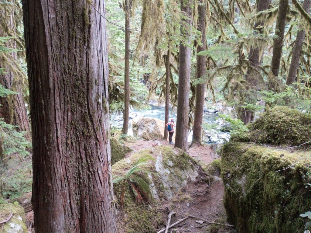 Laura stands on the edge of the Staircase River in the moss-laden (but otherwise dry) southeastern forest of Olympic National Park.
