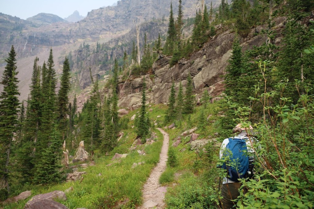 A path winds from the bottom center of the photo toward the distance with spruce trees and shrubbery on either side. Laura is skulking behind the branches of some huckleberry bushes in the bottom right corner.