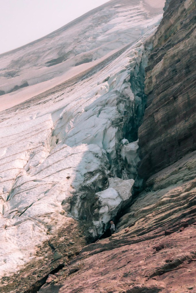 A vertical photo where the entire left half is the ice of Sperry Glacier, sloping very steeply up, and the right half is naked red-gray rock. Very small at the bottom center, Laura can be seen standing in a gap between the ice and the rock. She is VERY small but still manages to look mystified.
