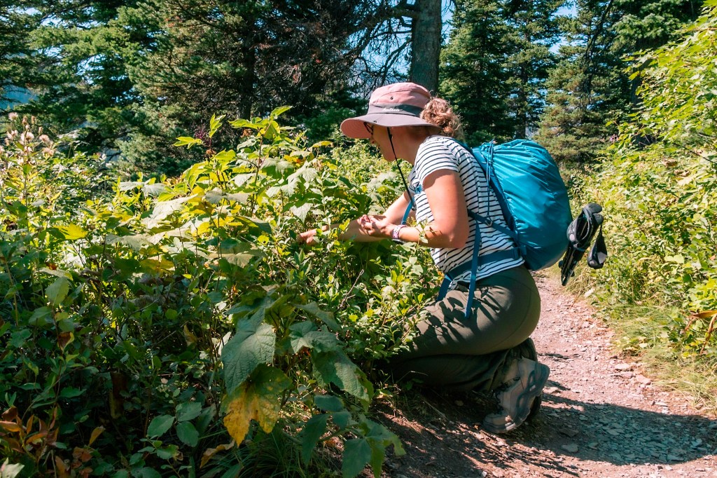 Laura crouches along the trail on the right side of the frame, reaching into a tangle of green bushes at the left. 