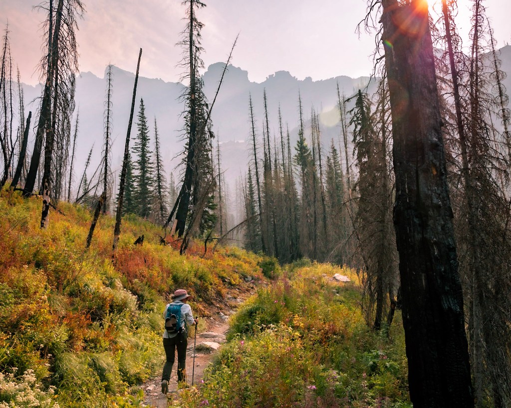 Laura, bottom center of photo, hikes away from the camera along a trail lined by green and orange shrubs. Dead trees frame the trail on either side with dark mountains showing through smoke haze in the background.