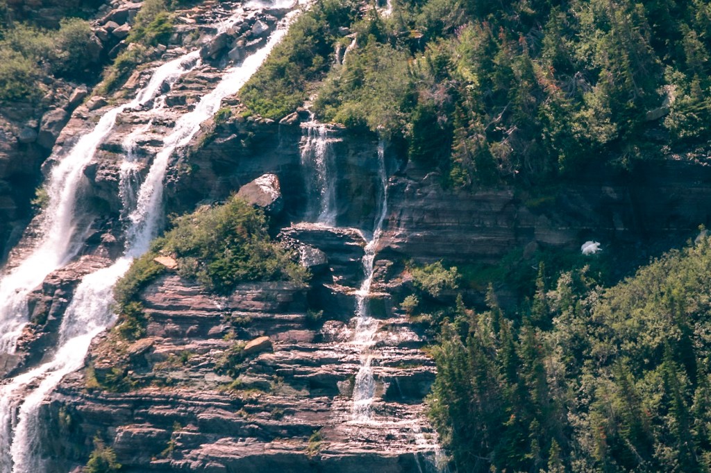 Streams of water fall down a rocky shelf in the left two-thirds of the image. In the right third, a smudge of bright white - the outlines of two mountain goats - are just visible. 
