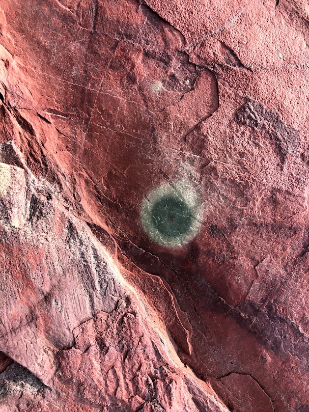 Red argillite rock fills the frame with a discolored reduction zone appearing as a white and green bullseyes.