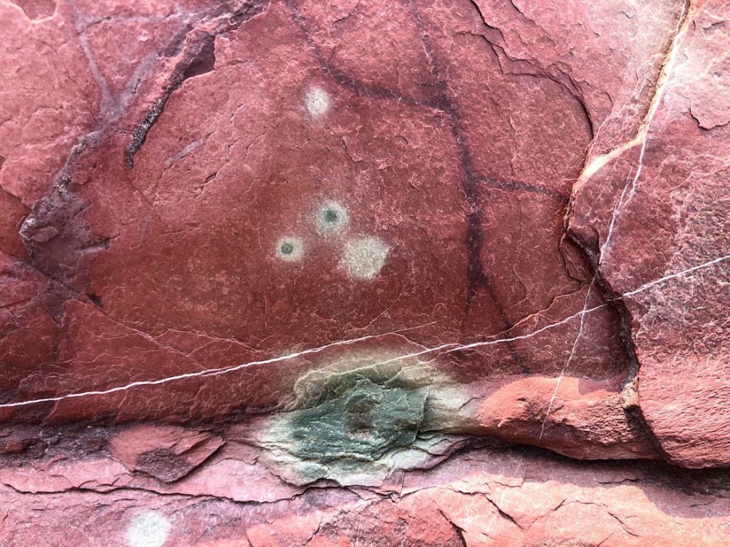 Red argillite rock fills the frame with a few discolored reduction zones appearing as white and green bullseyes.