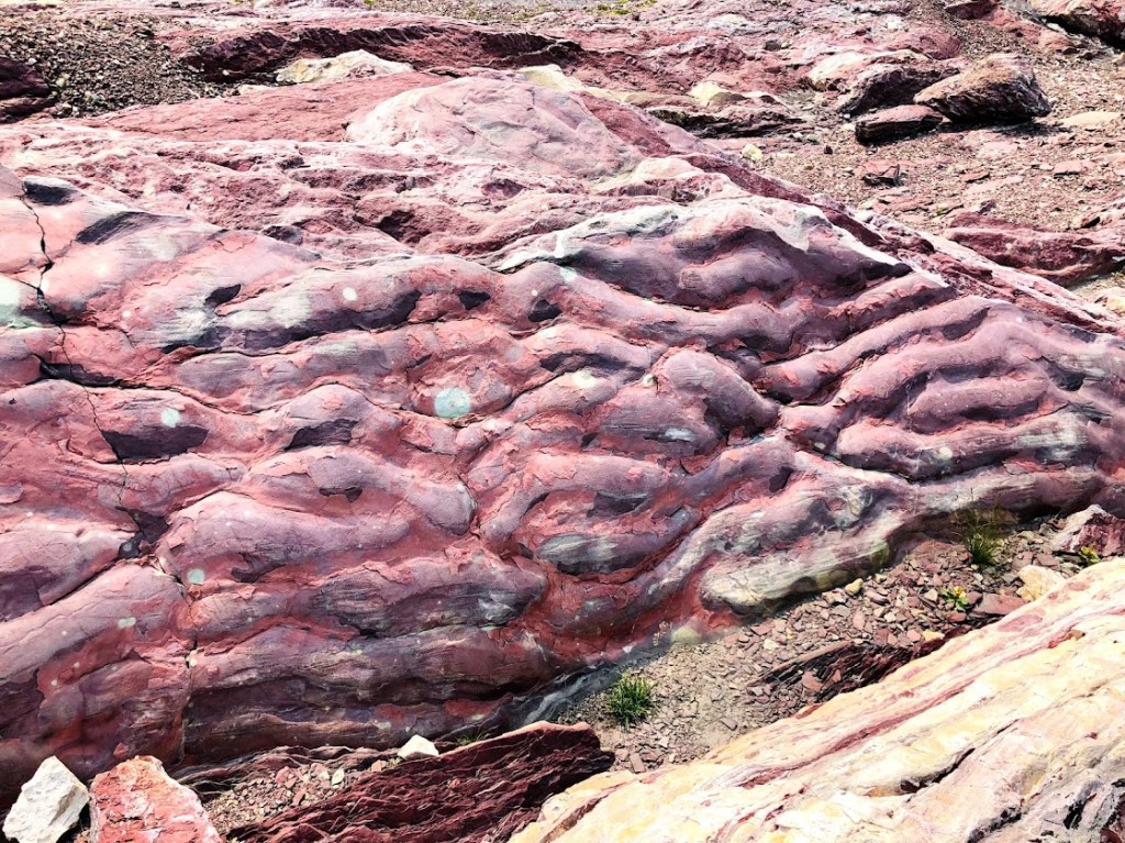 A sedimentary rock formation that is pink and looks like brains. 