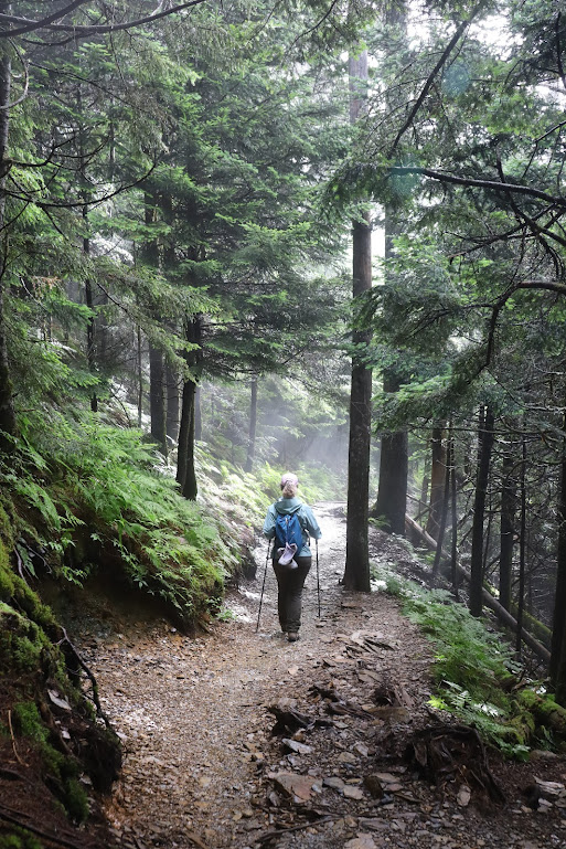 Laura hikes away from the camera, at center, along a rocky trail bordered by fir trees. A patch of sun is visible just ahead of her.