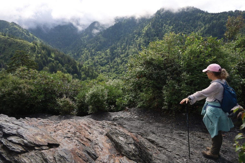 Laura stands in the bottom right of the frame, looking away from the camera out over a valley full of green trees. In the distance, the fog can be seen retreating.