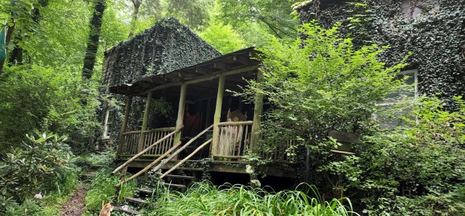 Another side of the ivy-covered building is easier to see, with a covered porch filling most of the frame, the stairs and railings appearing to be made of logs. 