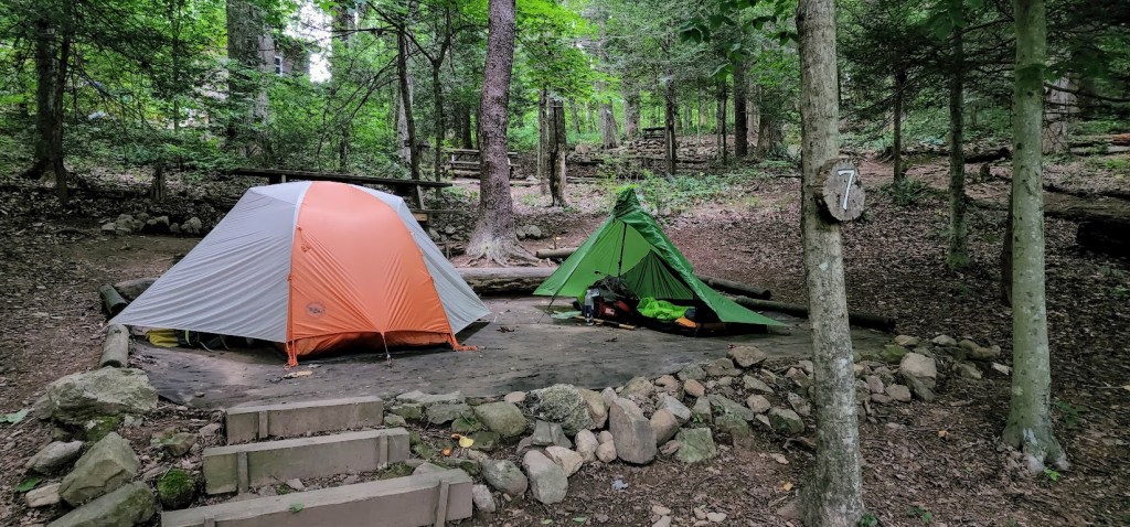 A flat tend pad surrounded by evergreen tree trunks. Dustin and Laura's orange tent is pitched on the left. Hobz's green tent is pitched on the right. 