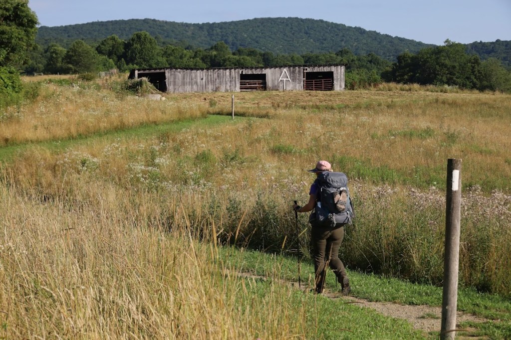 Laura hikes away from the camera through a grassy field toward a plank building with a large AT painted on the side. 