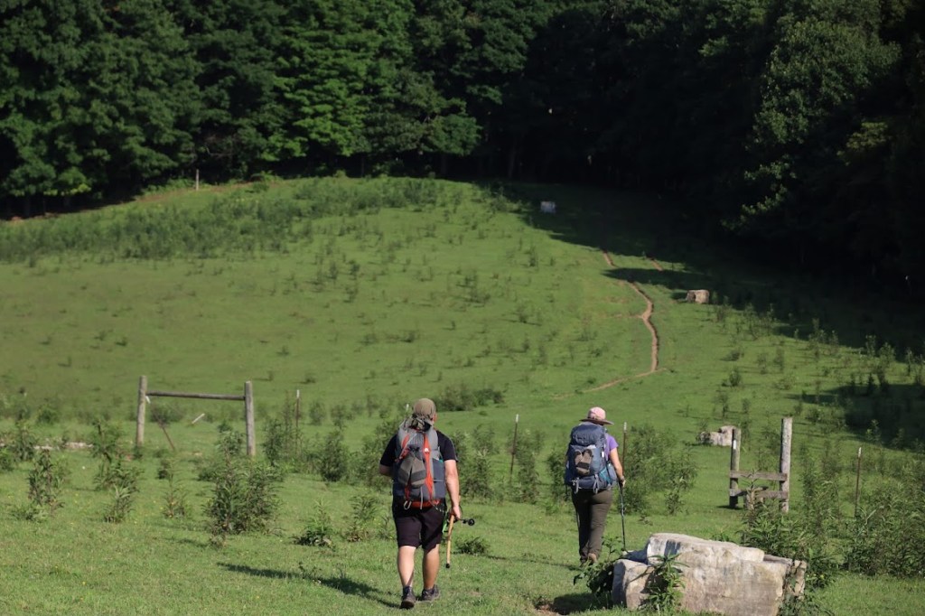 At the bottom of the frame, Laura followed by Hobz follows the trail across a grassy meadow. The trail disappears into dark trees at the top of the frame. 