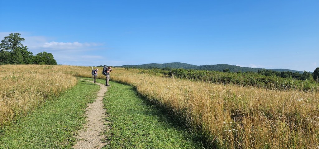 The trail curves through a field of tall, dry grass with low mountains in the distance. Dustin and Laura stand at the far bend of the trail, both looking through their cameras into the distance. 