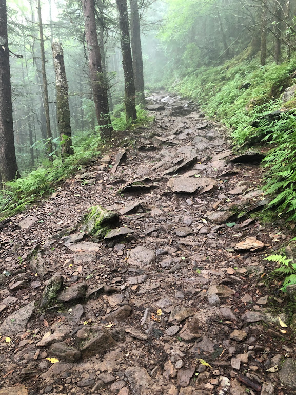 A trail runs through the woods, covered in uneven, rough rocks.