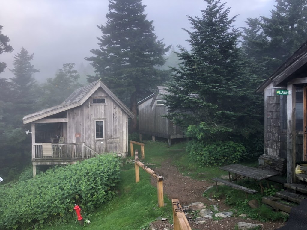 Several cabins from Le Conte Lodge line a path. The nearest cabin has a green street sign attached that says "LLAMA".