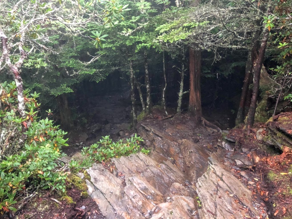 Two paths diverge in the woods. Both are very, very dark.