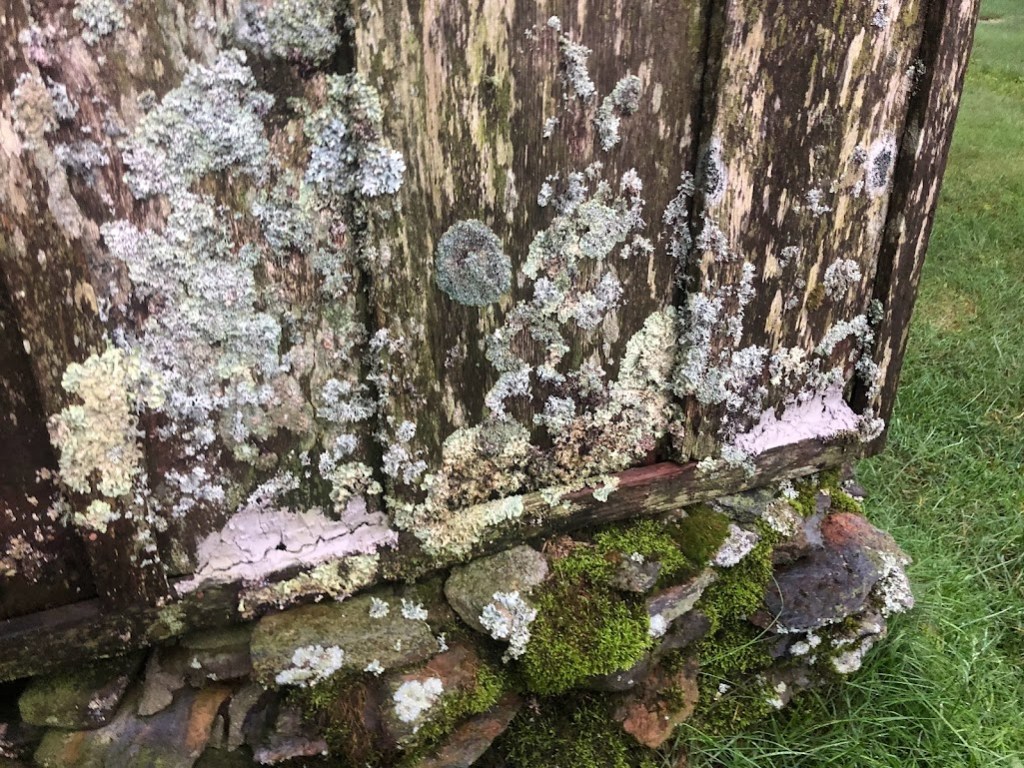 The corner of a cabin built of wood planks, covered in moss. The corner sits on top of stacked mossy rocks.