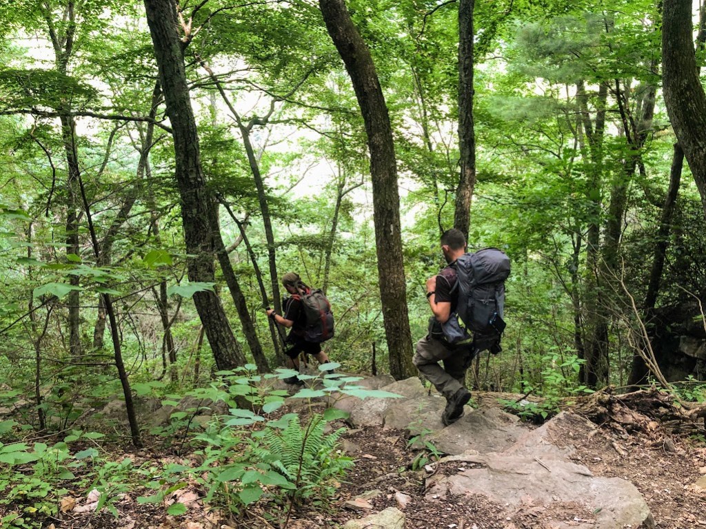 Hobz, left, and Dustin, right, start down a stone stairway surrounded by trees. 