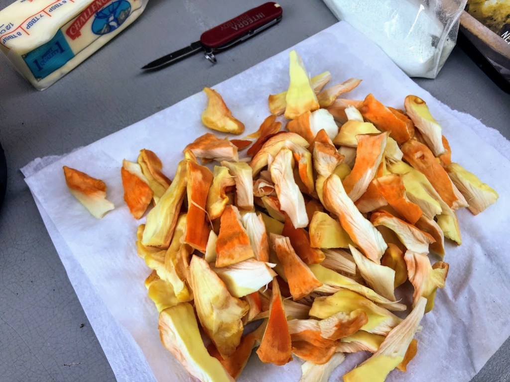 Chicken-of-the-woods mushrooms, torn into bite-sized strips. 