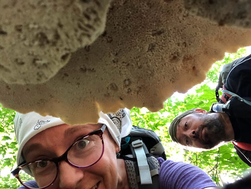 A photo taken from underneath the shelf mushroom. The edge of the mushroom's underside (porous rather than gilled) fills the top half of the frame. In the bottom half of the frame, Laura peers down while Hobz looks over her shoulder. 
