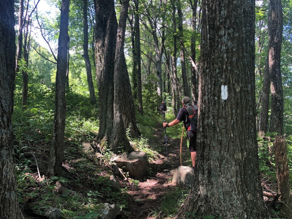 Hobz, with his back to the camera, faces Dustin who is farther back along the trail. A white, rectangular blaze is painted on the tree closest to the camera. 