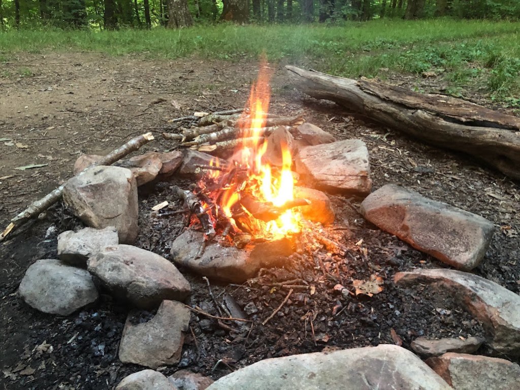 A fire with tall orange flames burns at the center of a stone-ringed fire circle. A log that could be used as a bench sits behind the circle.
