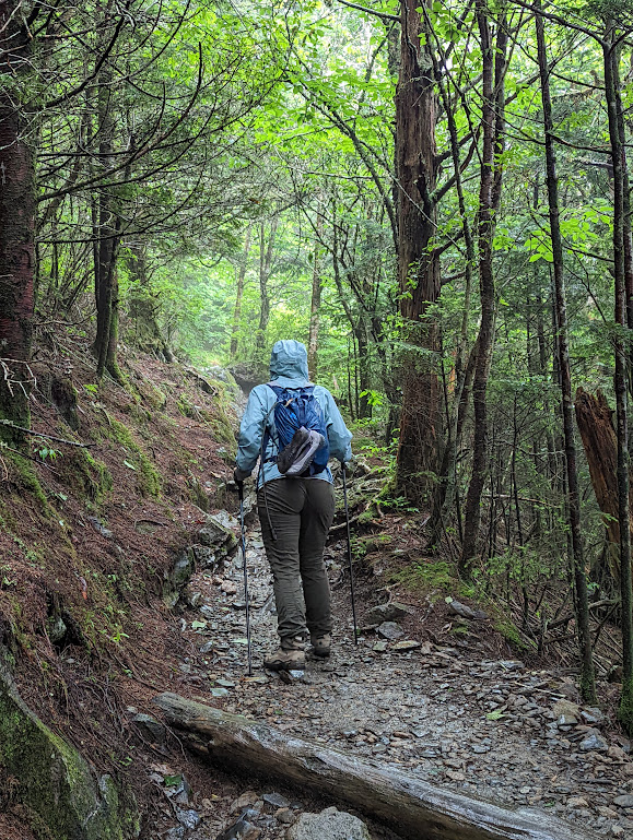 Laura, wearing a raincoat and no protection on her pack, hikes away from the camera. 