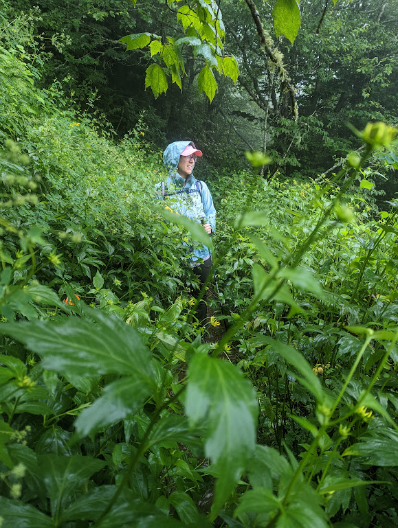 Laura stands in a patch of underbrush as tall as she is. All parties are very wet.