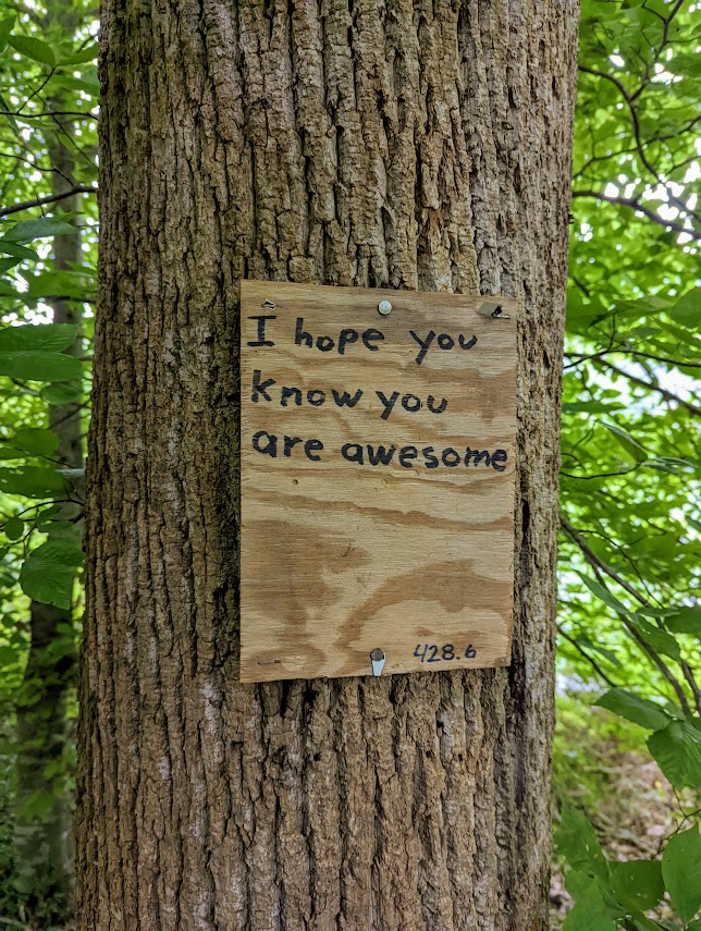 A sign, made of particle board and black marker, is nailed to the trunk of a tree that fills the frame. It says:

I hope you know you are awesome. 428.6 [the mileage]