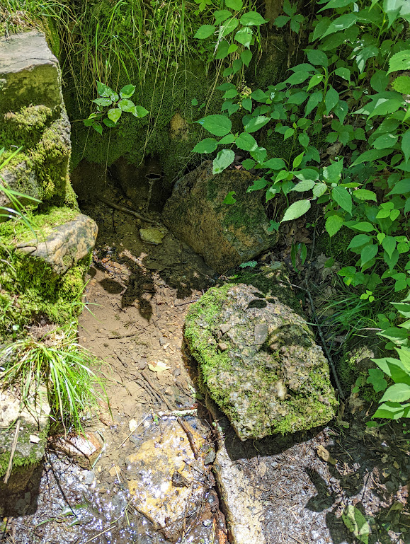 A top-down photo of a circle of moss-covered rocks surrounding a patch of mud. At the top of the frame, water drips into the mud from a moss-covered ledge. 