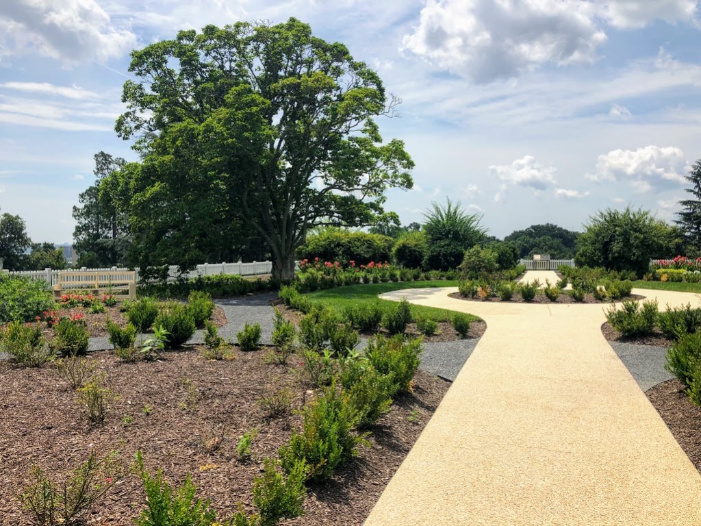 A white cement path leads from the bottom of the frame toward a round planter at the center of the frame, which it follows around on both sides then continues straight into the background. A number of scraggly looking shrubs line the path. There are flowers in planters toward the back. 