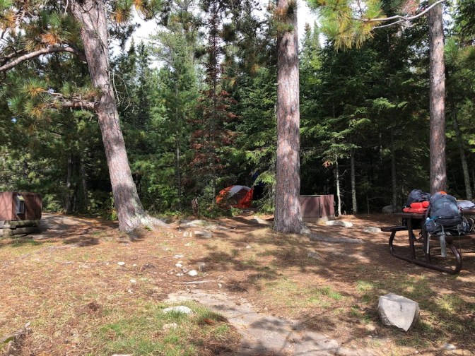 A photo of the campsite showing two tall evergreen trunks in the middle, a picnic table to the right, and bear boxes to the left and center. In the background, mostly obscured by underbrush, the top of an orange and gray tent can be seen.