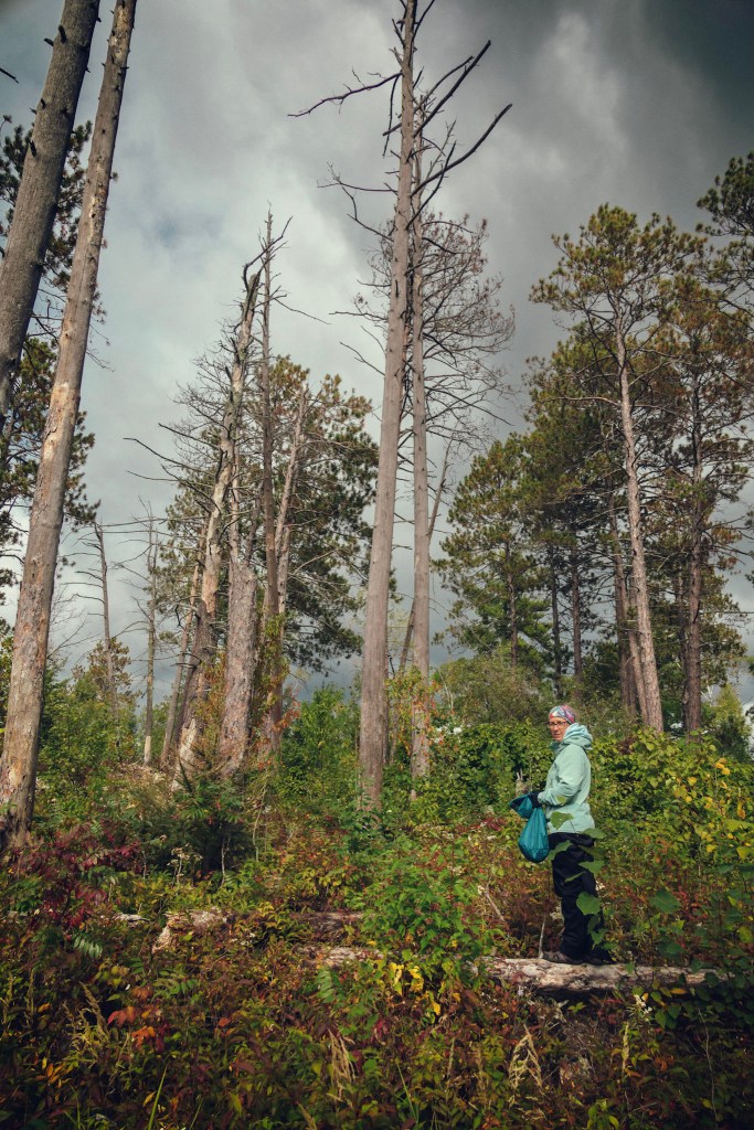 A vertical shot of Laura standing among some tall evergreen trees. The shot is taken from a bit below her, looking up, which makes the trees look especially tall. The sky behind the trees is heavy with gray clouds. 