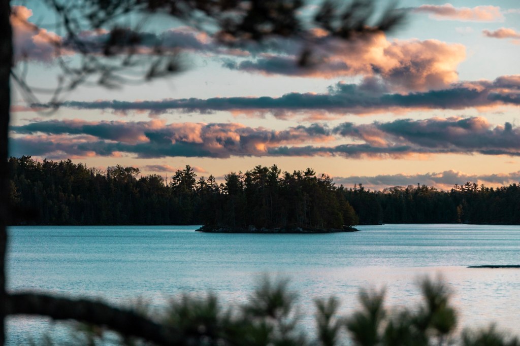 Photo taken from behind the branches of an evergreen tree, which frame the image on the top and bottom. The lake beyond appears very blue, with a pine-covered island in the middle and a cloud-striped sky above.