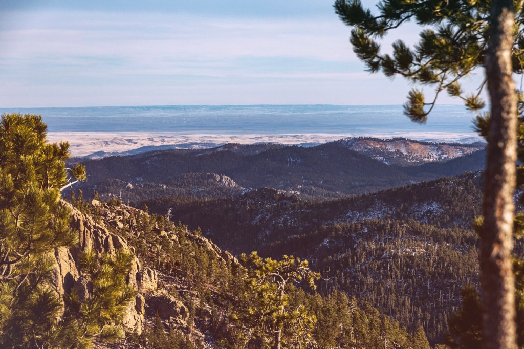 A horizontal landscape shot looking out from a high vantage point in the Black Hills. The slopes leading down show patches of granite through thick pine trees. In the distance the hills level out to sunlit prairie.