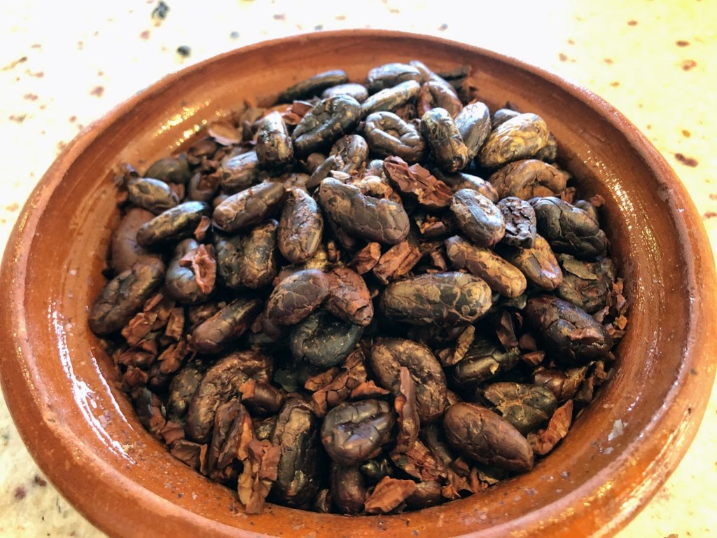 A closeup of a red clay bowl full of roasted, husked cacao beans. They look a lot like extra-large roasted coffee beans, though more elongated. Many show signs of heat blistering, and many are broken.